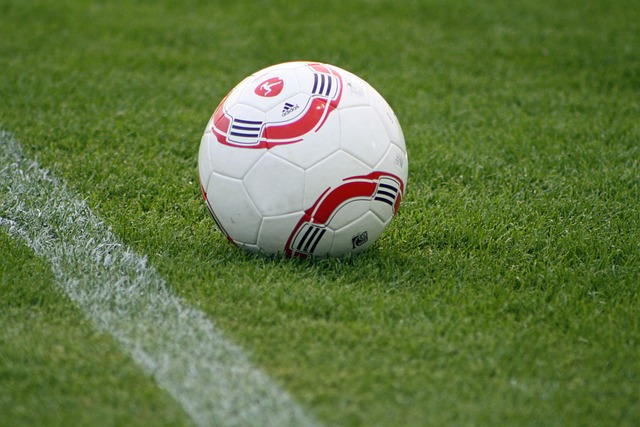 理意味着更 理意味着更