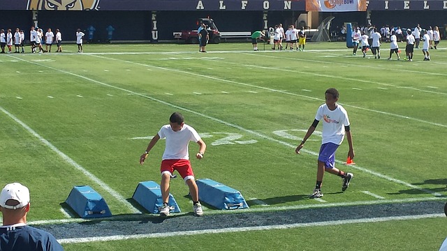 亚历山大多 亚历山大多