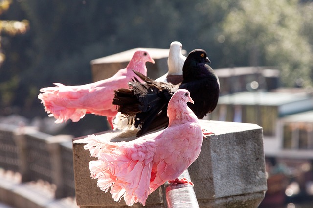 这种精神值 这种精神值